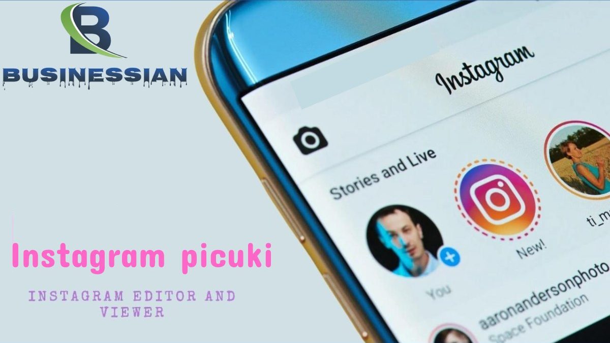 Instagram picuki Viewer, Picuki work with Instagram