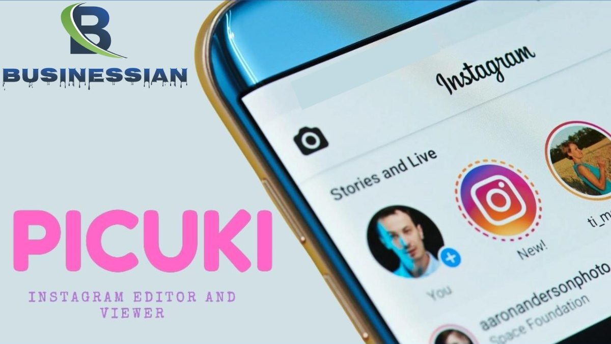Picuki Instagram Viewer, Picuki work with Instagram