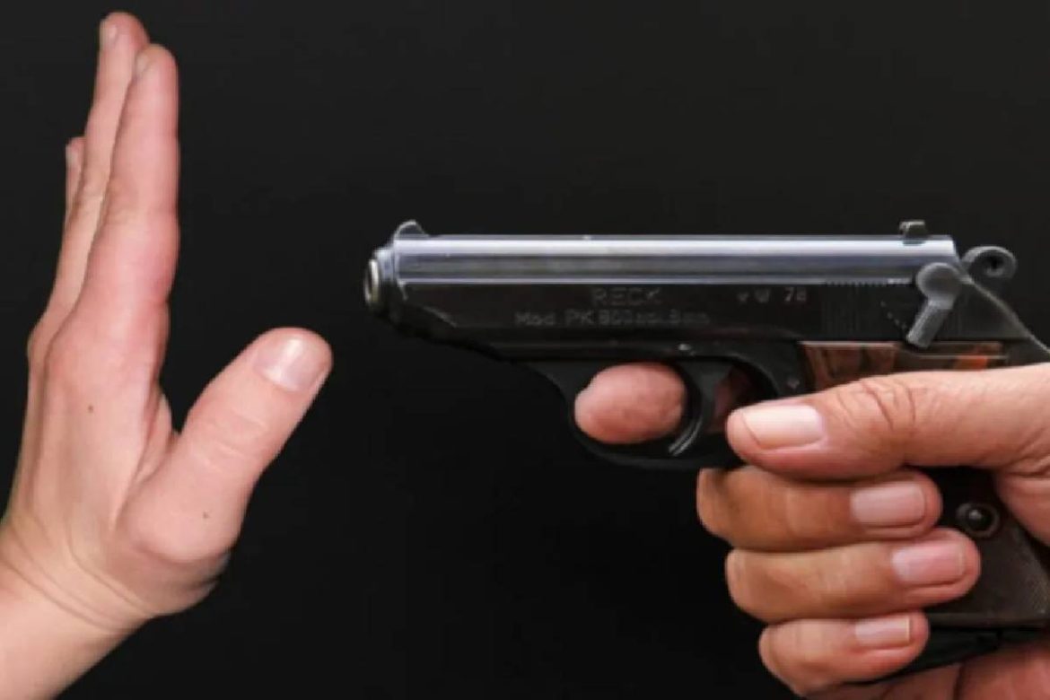 Top 4 Reasons to Own a Gun Top 4 Reasons to Own a Gun