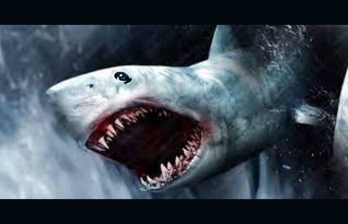 How Can You Avoid Them - Sharksnado