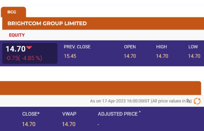 What are nse:bcg financials?