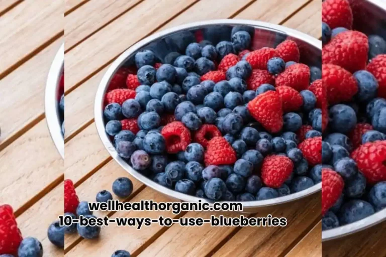 wellhealthorganic.com:10-best-ways-to-use-blueberries