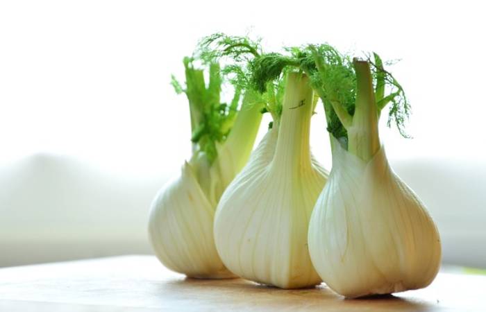 Fennel