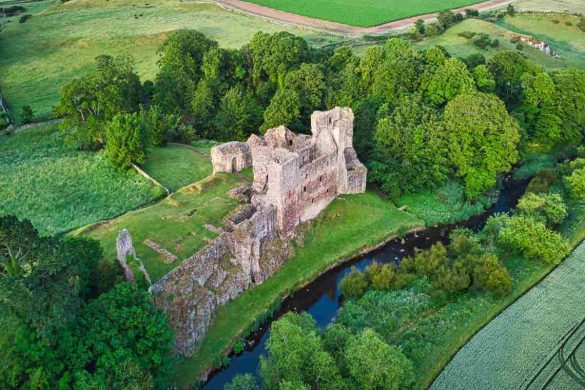 The Excitement of Land Auctions: What Buyers Need to Know in Dodge County, MN