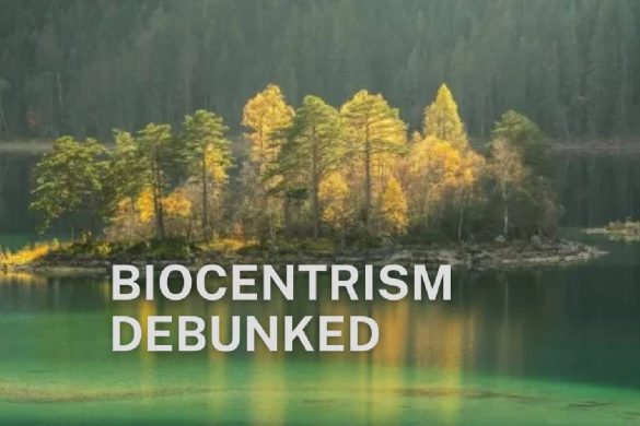 Biocentrism Debunked is the New Talk of the Town! But What is it Exactly?