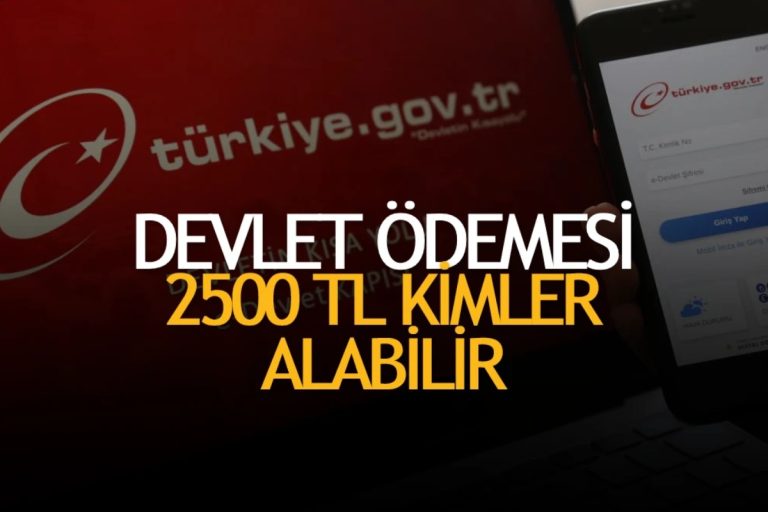 Everything About Devletödemeleri com