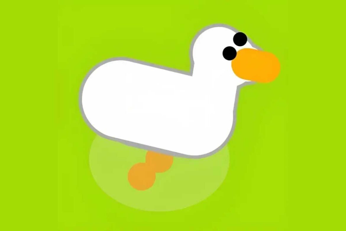 duck.alltutors